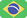 Português Brasil